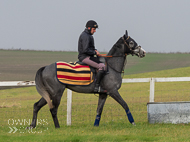 AK181121-21 - Sarsen